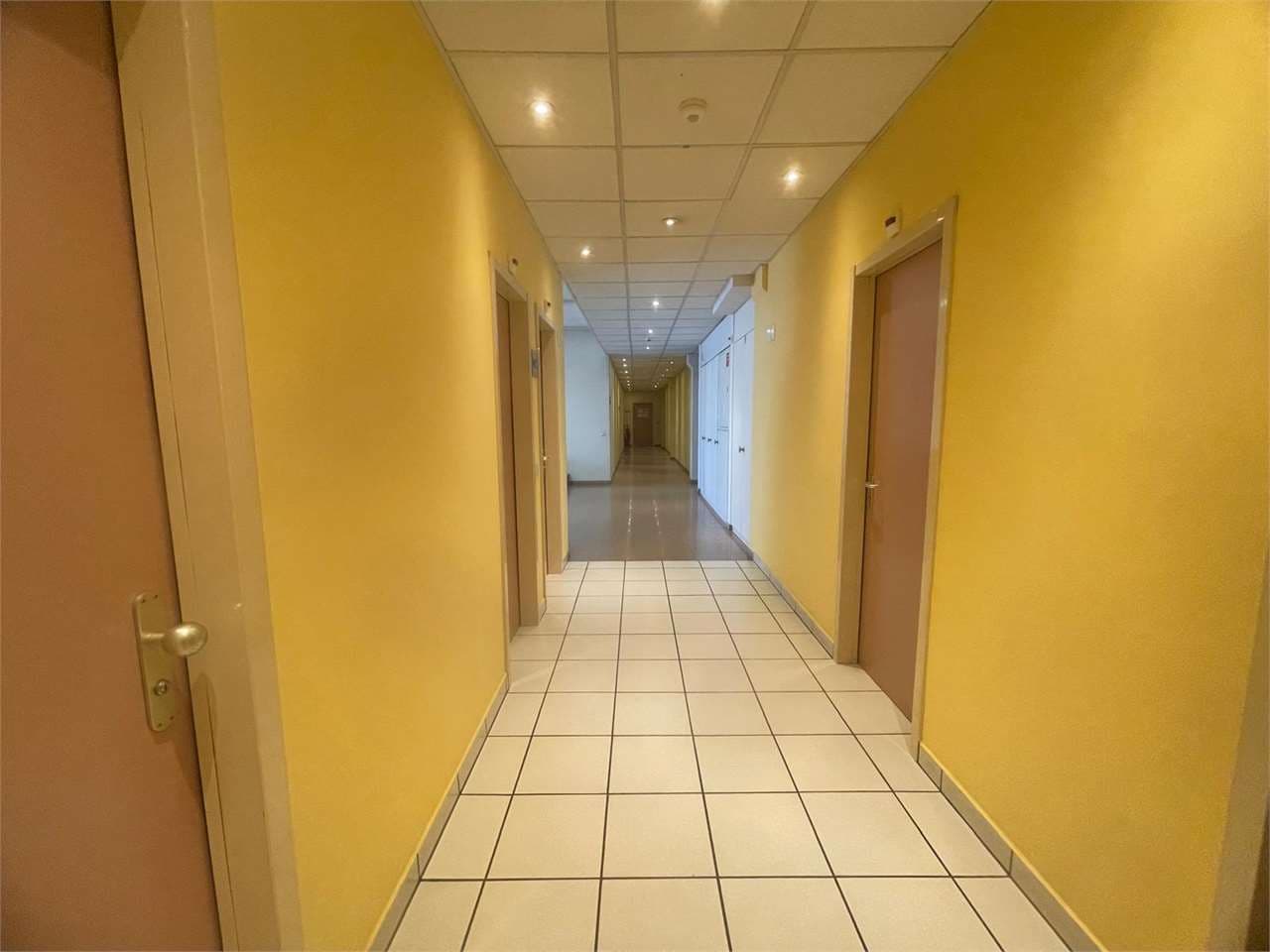 Affittasi spazio ufficio 4 locali – Manno thumbnail 5